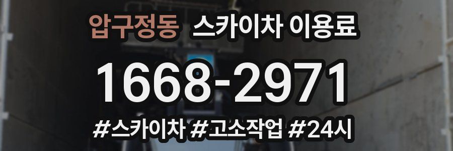 압구정동 스카이차 이용료