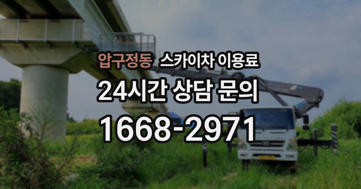 압구정동 스카이차 이용료