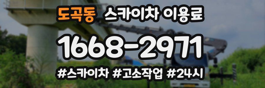 도곡동 스카이차 이용료