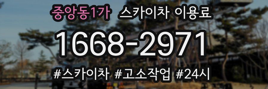중앙동1가 스카이차 이용료