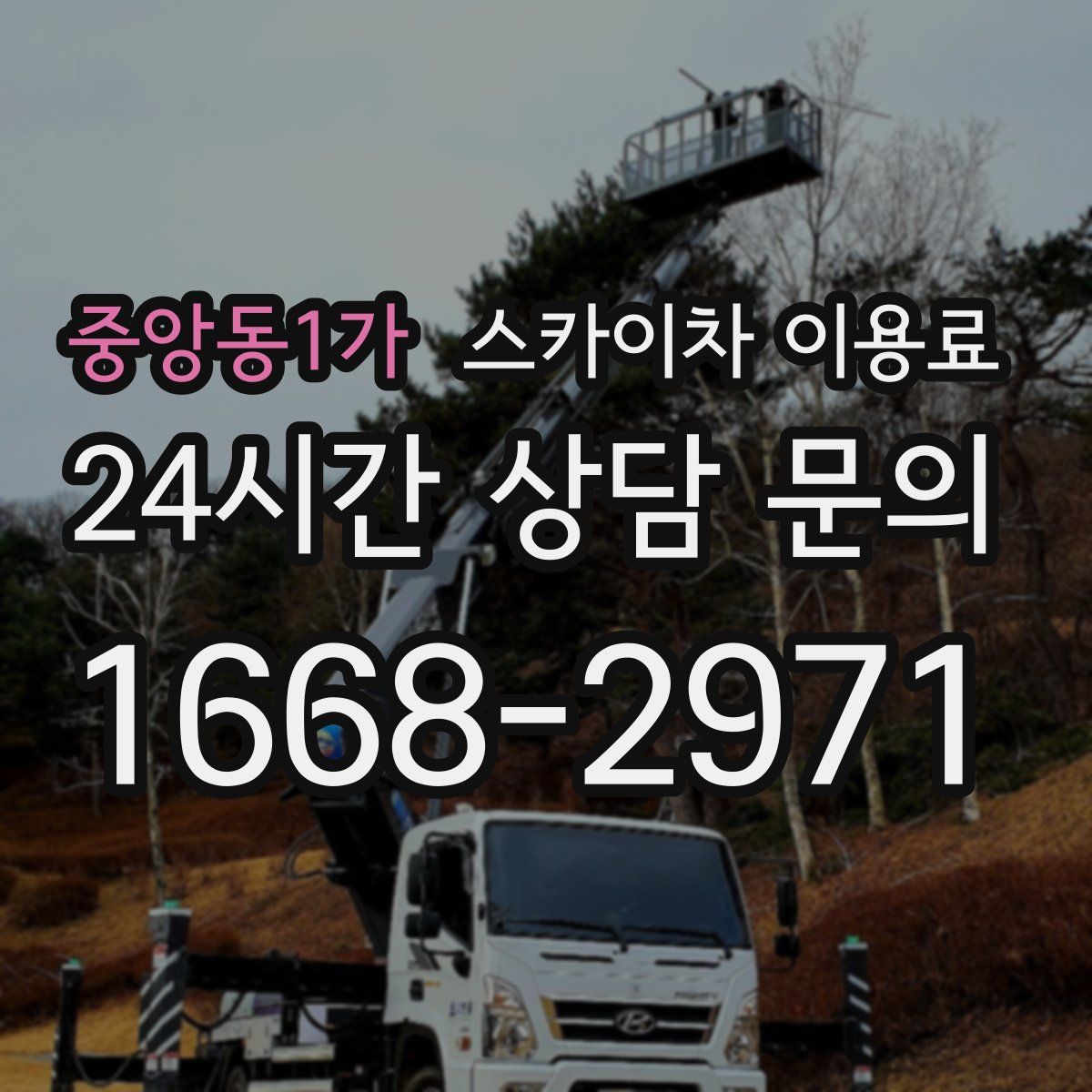 중앙동1가 스카이차 이용료