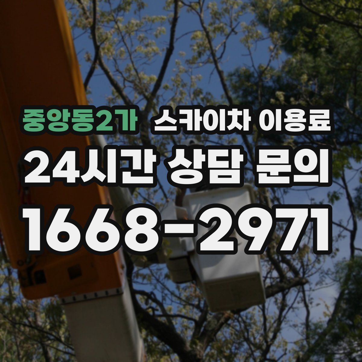 중앙동2가 스카이차 이용료