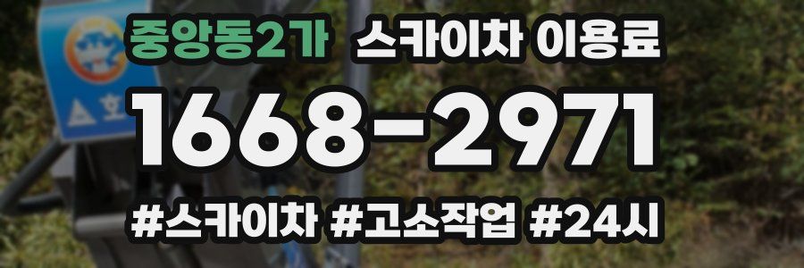 중앙동2가 스카이차 이용료