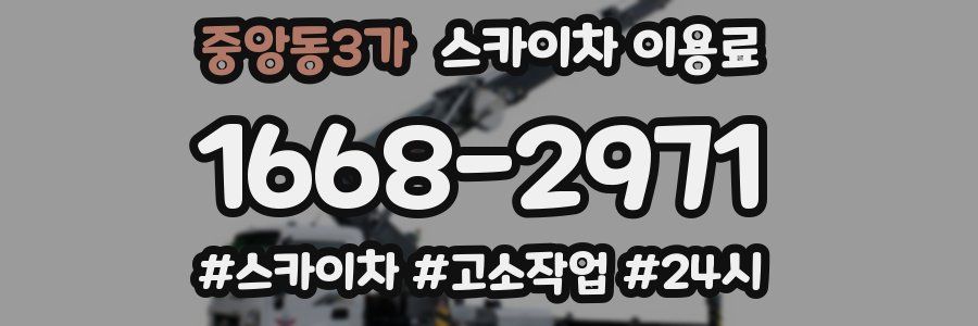 중앙동3가 스카이차 이용료