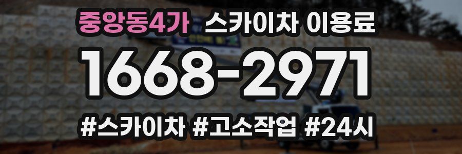중앙동4가 스카이차 이용료