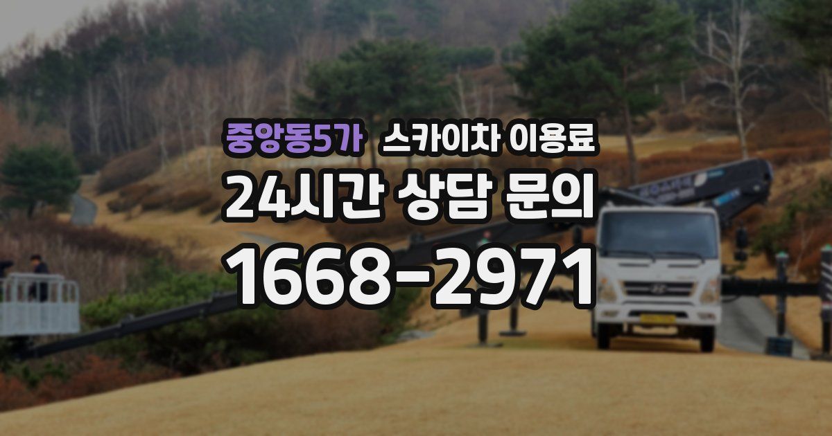 중앙동5가 스카이차 이용료