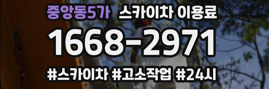 중앙동5가 스카이차 이용료