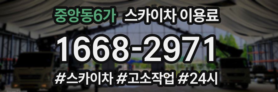 중앙동6가 스카이차 이용료