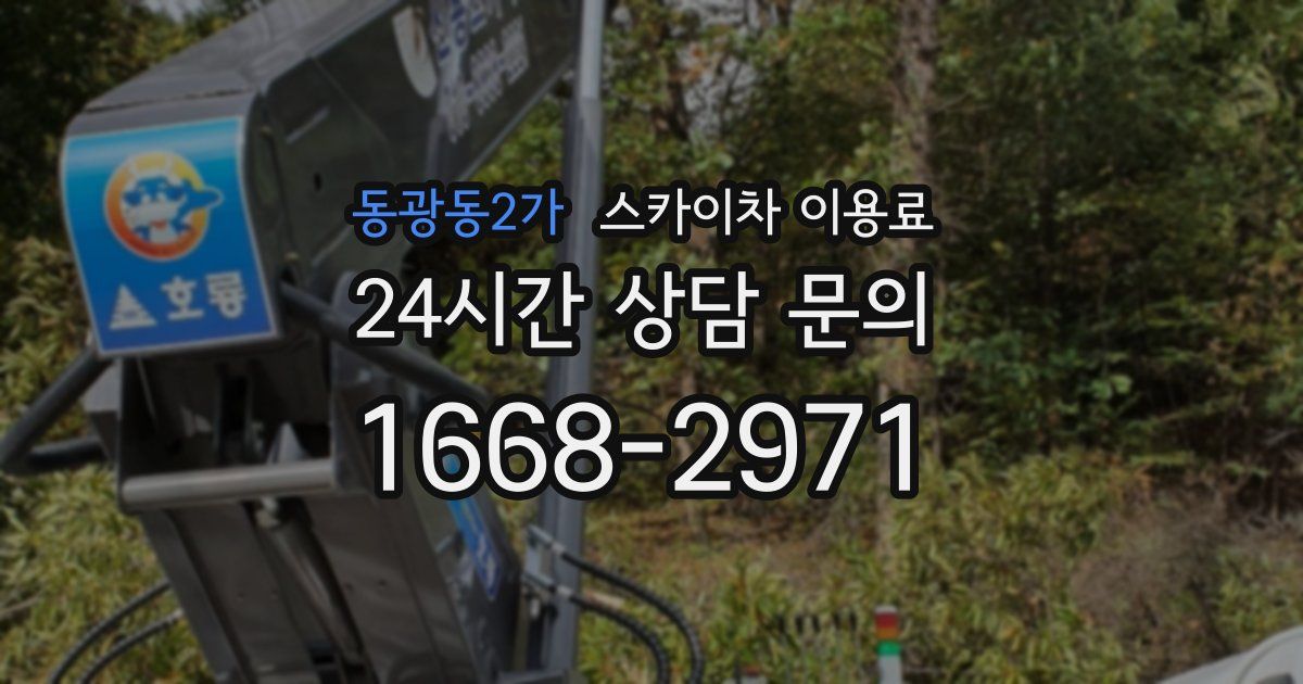 동광동2가 스카이차 이용료