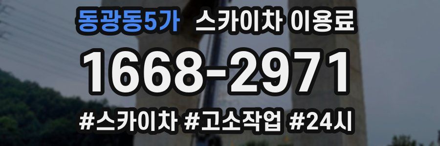 동광동5가 스카이차 이용료