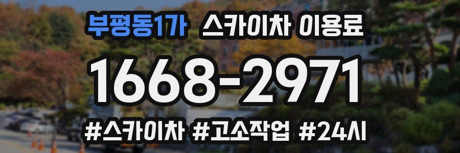 부평동1가 스카이차 이용료