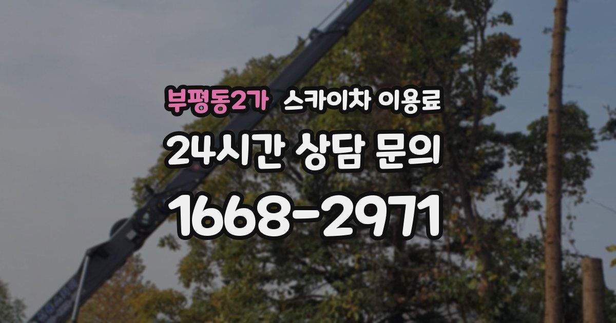 부평동2가 스카이차 이용료
