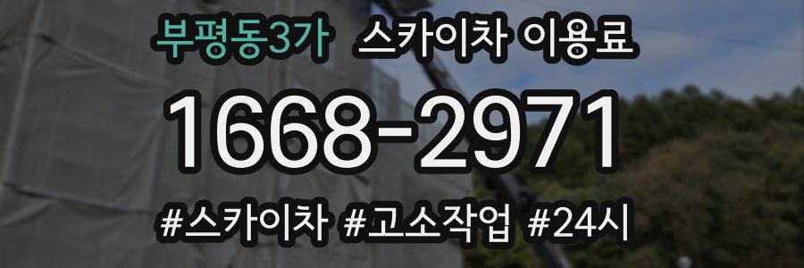 부평동3가 스카이차 이용료