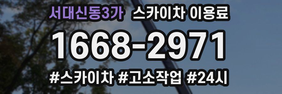 서대신동3가 스카이차 이용료