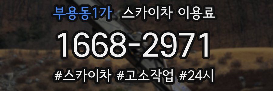 부용동1가 스카이차 이용료