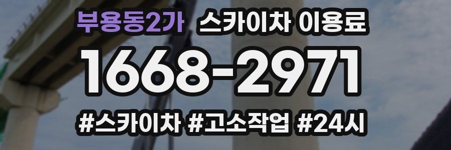 부용동2가 스카이차 이용료