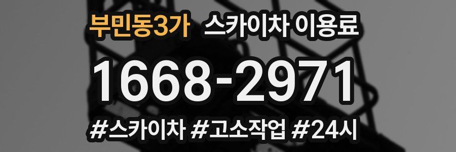 부민동3가 스카이차 이용료