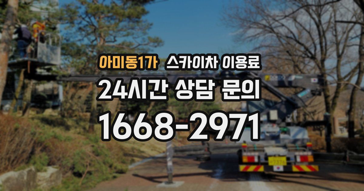 아미동1가 스카이차 이용료