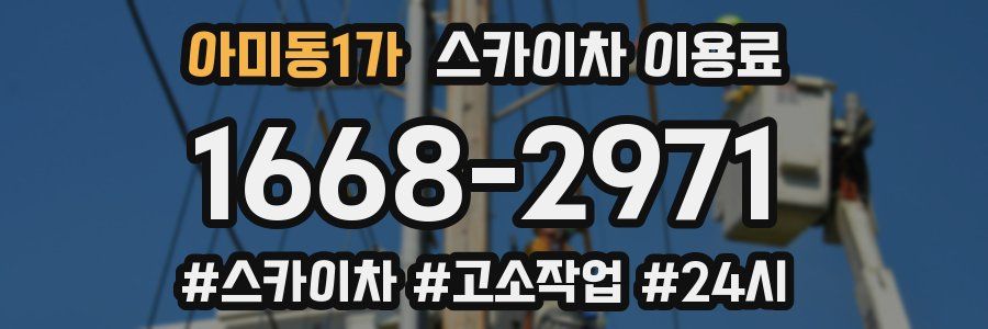 아미동1가 스카이차 이용료