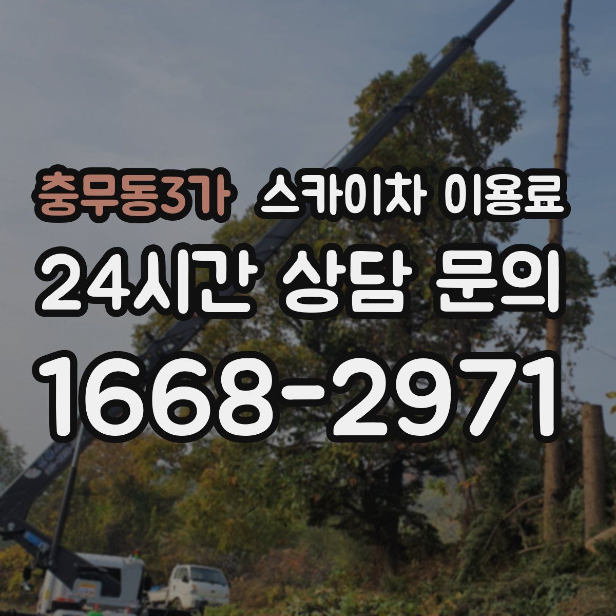 충무동3가 스카이차 이용료