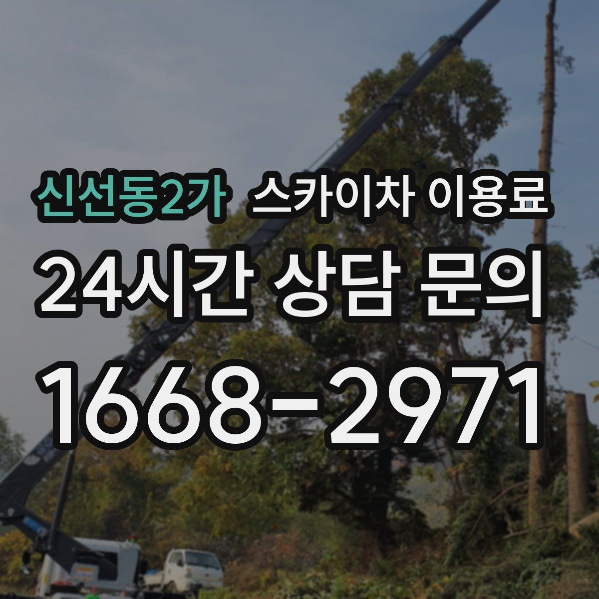 신선동2가 스카이차 이용료