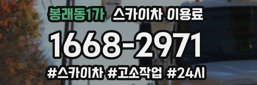 봉래동1가 스카이차 이용료