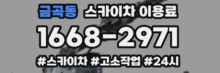 금곡동 스카이차 이용료