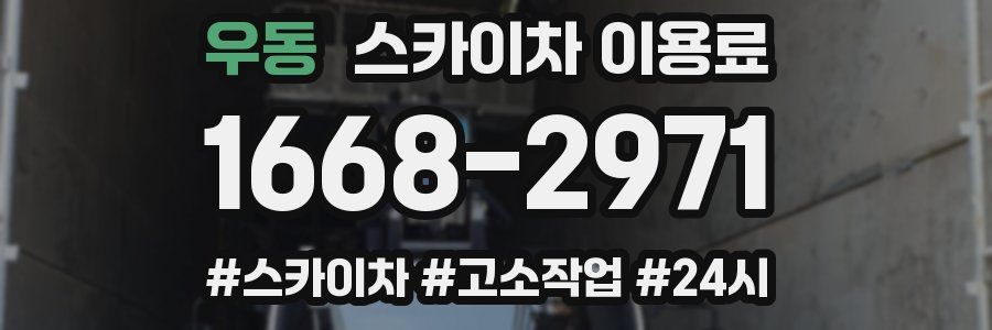 우동 스카이차 이용료