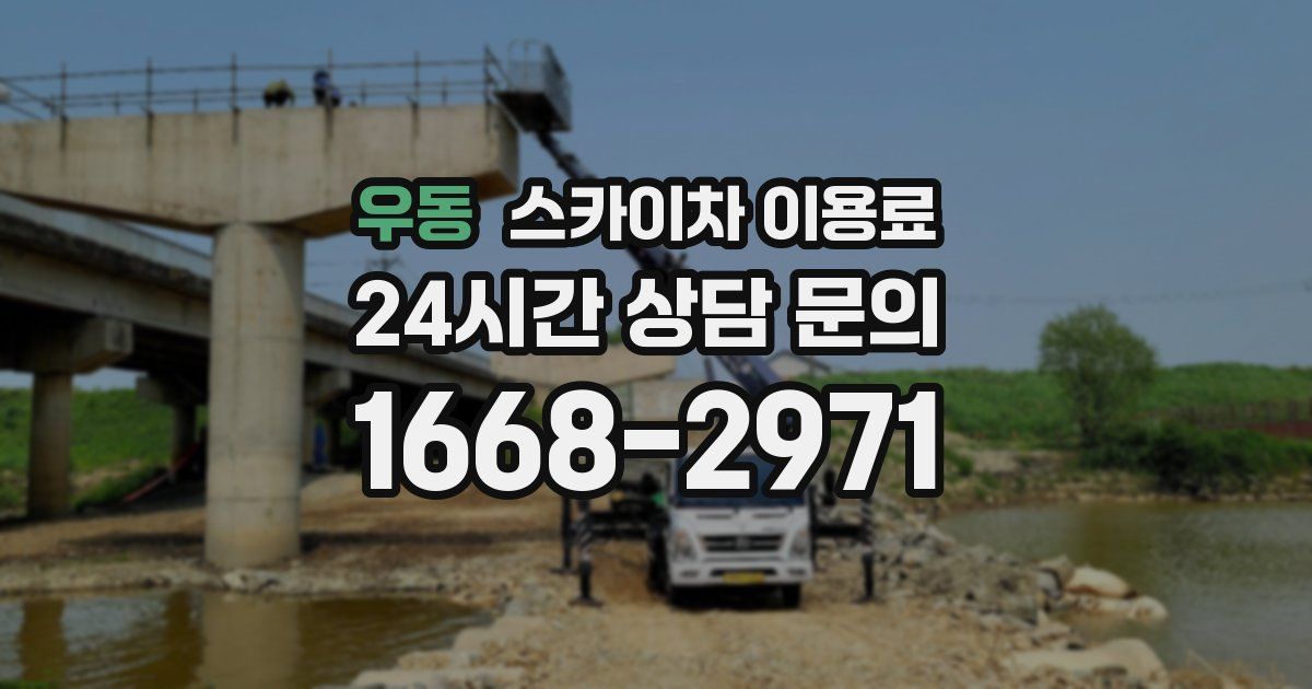 우동 스카이차 이용료