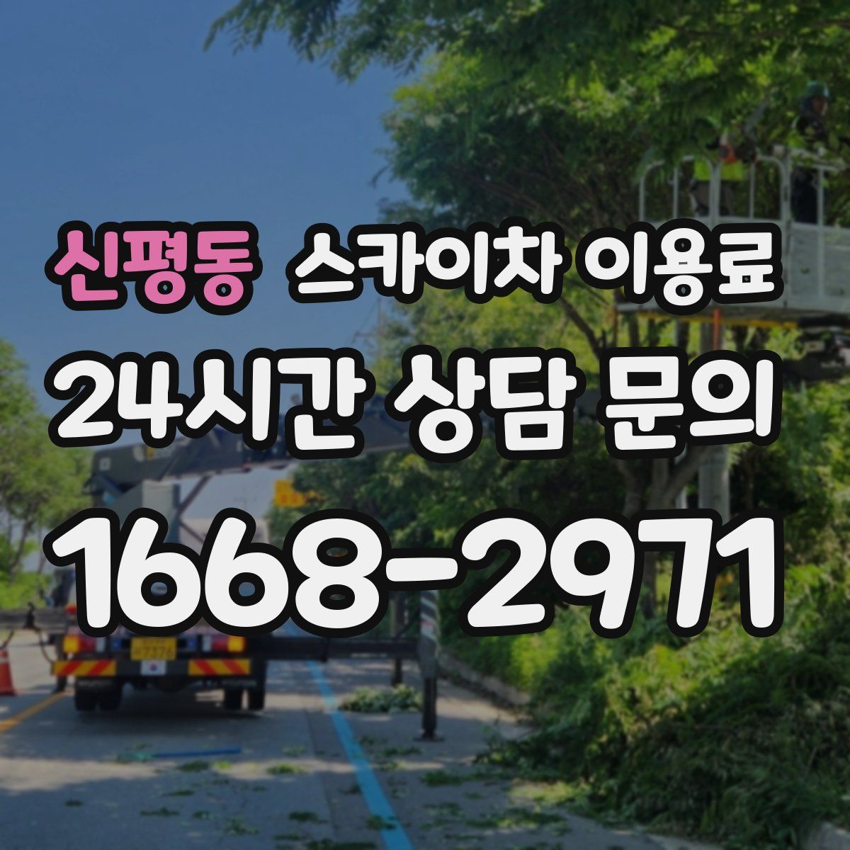 신평동 스카이차 이용료