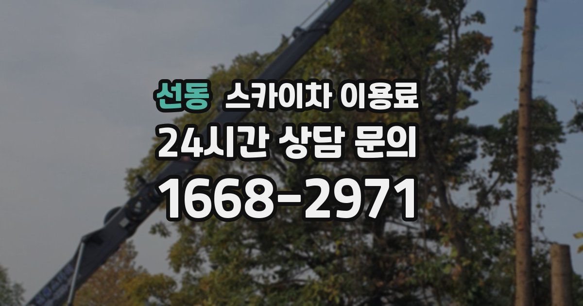 선동 스카이차 이용료