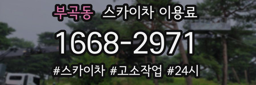 부곡동 스카이차 이용료