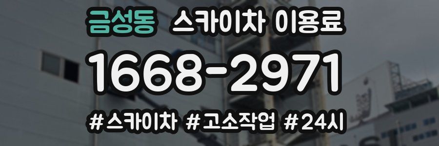 금성동 스카이차 이용료