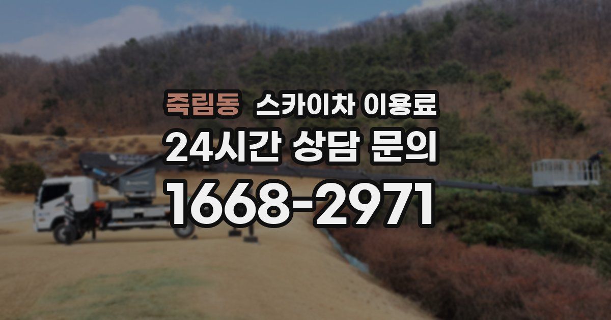 죽림동 스카이차 이용료