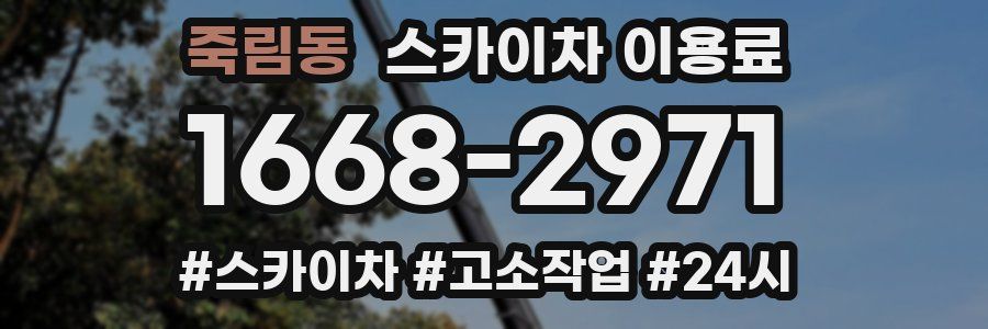 죽림동 스카이차 이용료