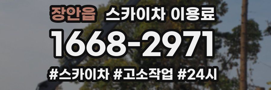 장안읍 스카이차 이용료