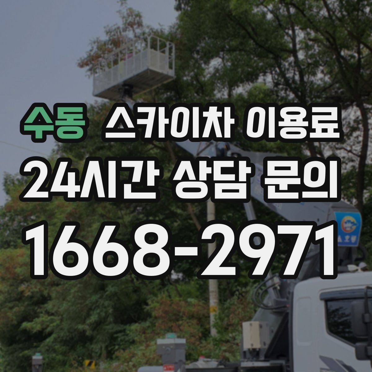 수동 스카이차 이용료