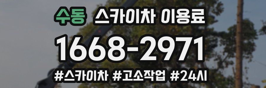 수동 스카이차 이용료