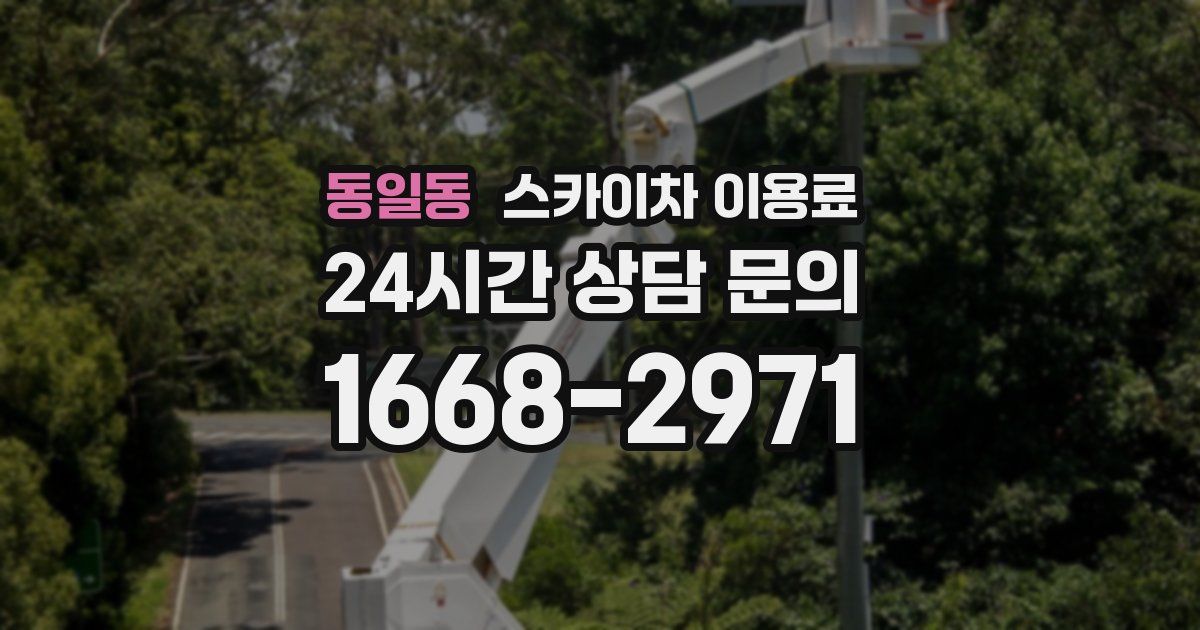 동일동 스카이차 이용료