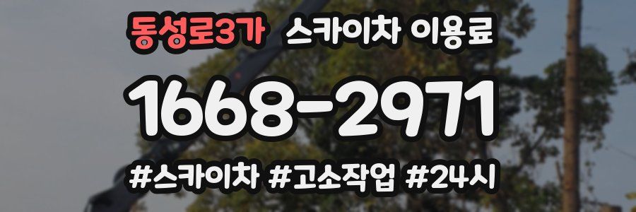 동성로3가 스카이차 이용료