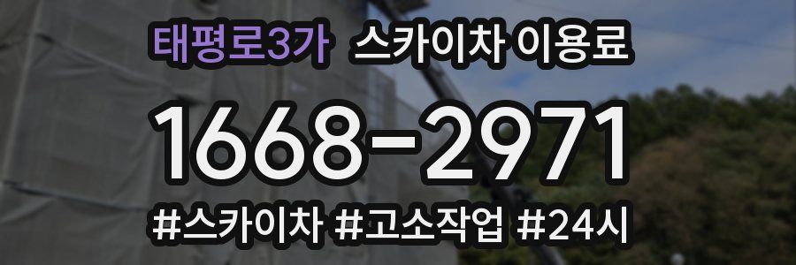 태평로3가 스카이차 이용료