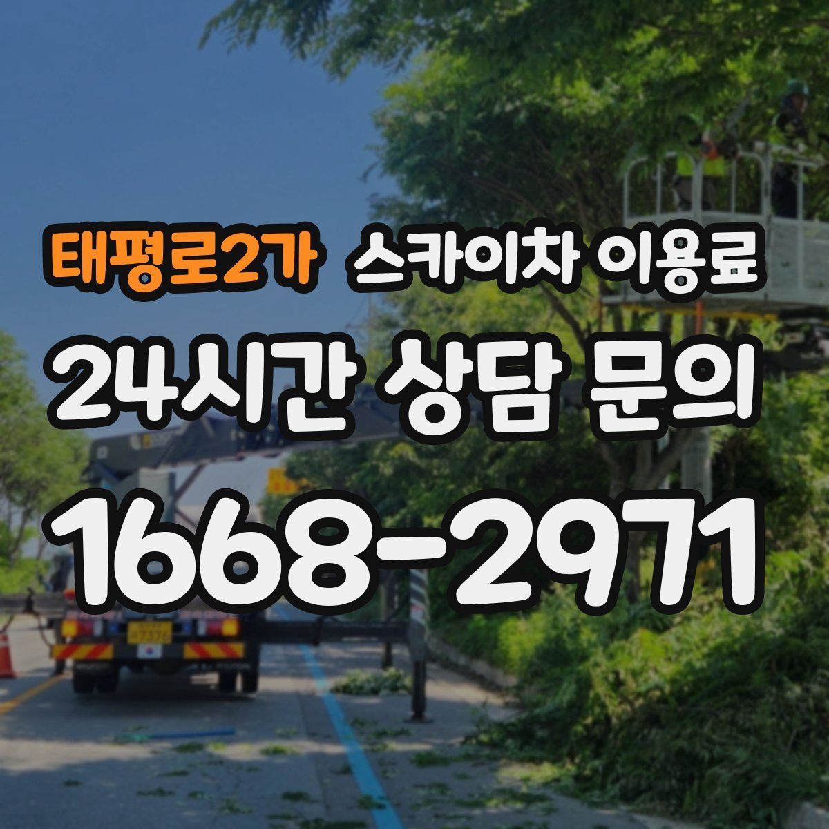 태평로2가 스카이차 이용료