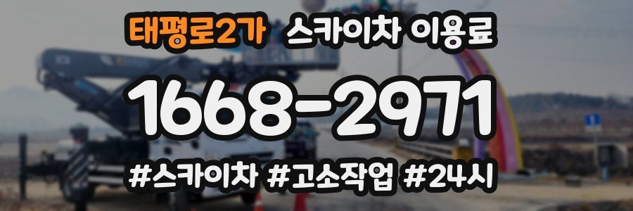 태평로2가 스카이차 이용료