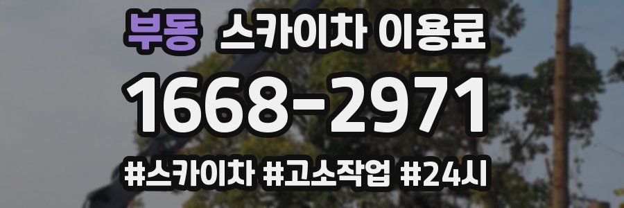 부동 스카이차 이용료
