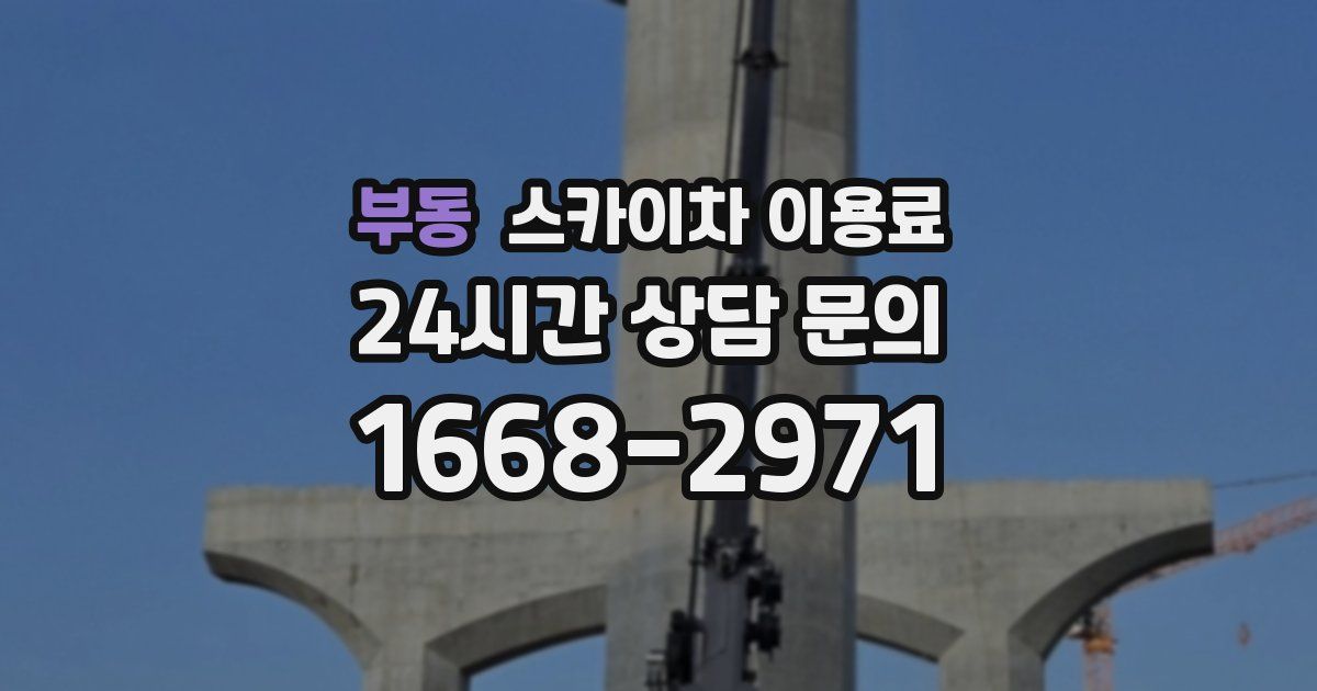 부동 스카이차 이용료