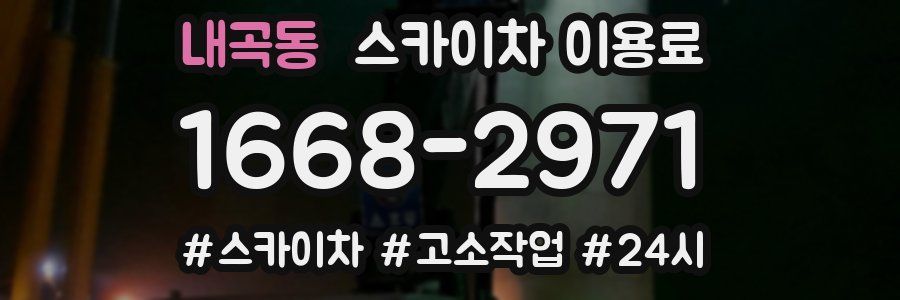 내곡동 스카이차 이용료