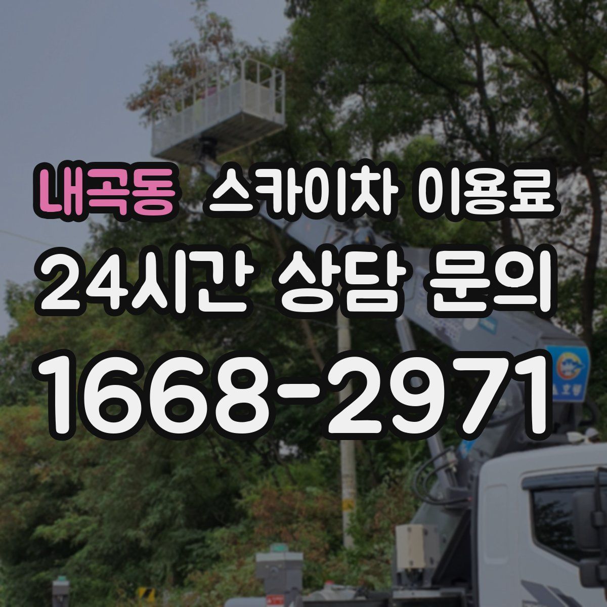 내곡동 스카이차 이용료