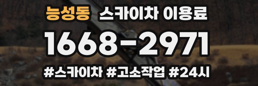능성동 스카이차 이용료