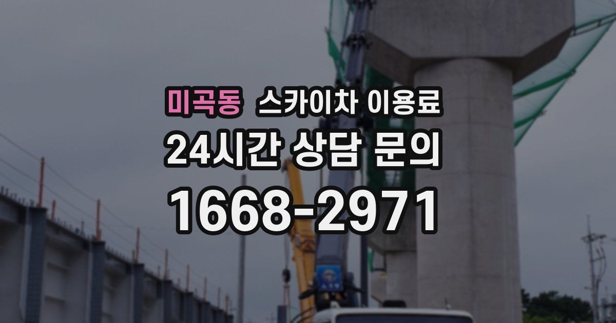 미곡동 스카이차 이용료