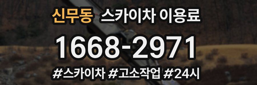 신무동 스카이차 이용료